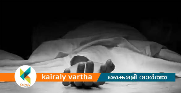 പാലക്കാട് ചെറുതുരുത്തിയിൽ ട്രെയിൻ തട്ടി ദമ്പതികൾ മരിച്ചു