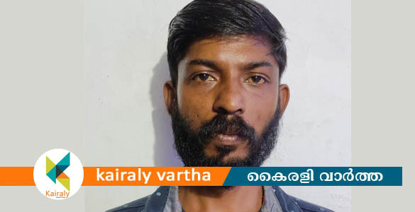 കല്ലറയിലെ ഇലക്ട്രിക് വർക്ക് ഷോപ്പിൽ മോഷണം : യുവാവ് അറസ്റ്റിൽ