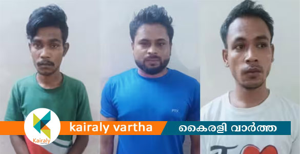 കൊച്ചിയിൽ അനാശാസ്യ കേന്ദ്രത്തില്‍ റെയ്ഡ്; നടത്തിപ്പ് അന്യസംസ്ഥാന തൊഴിലാളികള്‍