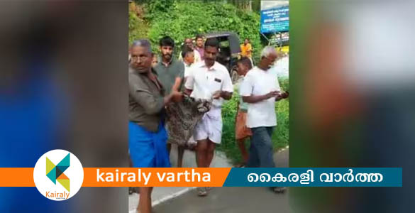 കാട്ടുപോത്തിന്‍റെ ആക്രമണം: 60കാരൻ മരിച്ചു, ഒരാളുടെ നില ഗുരുതരം