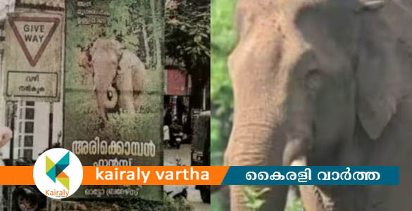 അരിക്കൊമ്പന് വേണ്ടി ഇടുക്കിയില്‍ ഫാന്‍സ് അസോസിയേഷന്‍