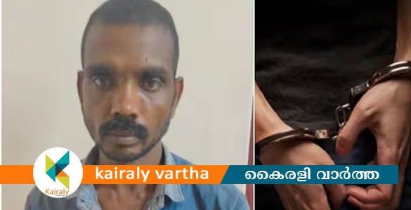 മദ്യപിക്കാൻ പണം നല്‍കാത്തതിന് അമ്മയെ മർദ്ദിച്ച് കൊലപ്പെടുത്തിയ സംഭവം; മകന്‍ അറസ്റ്റില്‍