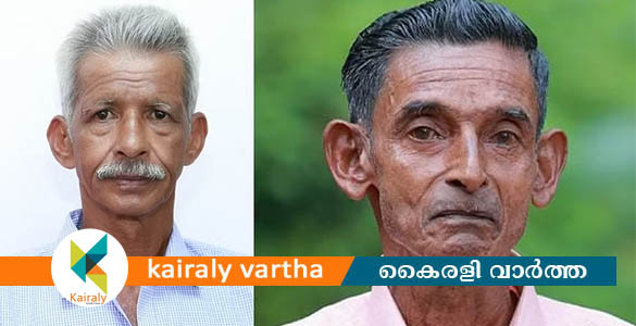 2 പേരെ കുത്തിക്കൊന്ന കാട്ടുപോത്തിനെ വെടിവെച്ചു കൊല്ലാൻ ഉത്തരവ്