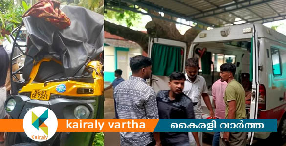 മലപ്പുറത്ത് സ്കൂൾ വിദ്യാർഥികളുമായി പോയ ഓട്ടോ മറിഞ്ഞു; 8 പേർക്ക് പരിക്ക്