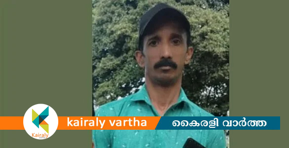 സ്കൂട്ടറില്‍ കാട്ടുപന്നി ഇടിച്ച് പരിക്കേറ്റ യുവാവ് മരിച്ചു