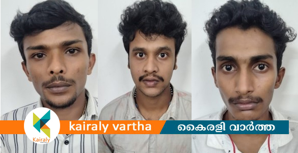 കോട്ടയം നഗരത്തിൽ കുരുമുളക് സ്പ്രേ ആക്രമണം: മൂന്നുപേർ അറസ്റ്റിൽ