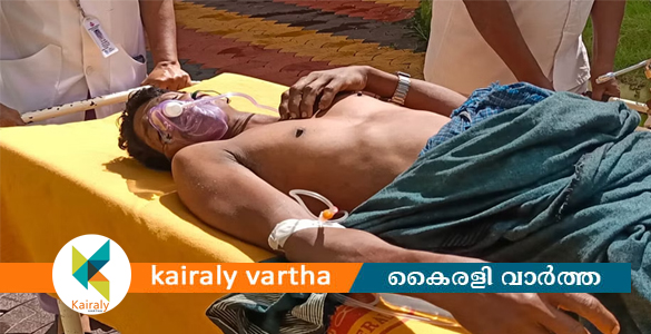 മലക്കപ്പാറ ആദിവാസി ഊരിൽ കാട്ടാന ആക്രമണം: ഒരാൾക്ക് ഗുരുതര പരിക്ക്