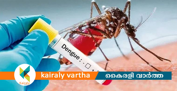 മലപ്പുറത്ത് ഡെങ്കിപ്പനി ബാധിച്ച് 42 കാരൻ മരിച്ചു