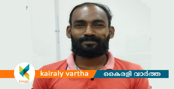 സ്കൂളിനുള്ളിൽ മോഷണശ്രമം: മുണ്ടക്കയത്ത് ഒരാൾ അറസ്റ്റിൽ