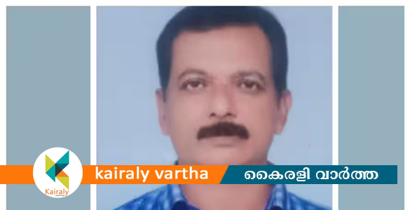 പത്തനംതിട്ട പനി ബാധിച്ച് ഒരാള്‍ മരിച്ചു; എച്ച്1 എൻ1ആണോ എന്ന് സംശയം