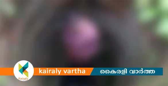 പത്തനംതിട്ടയിൽ ആളൊഴിഞ്ഞ പറമ്പിൽ വയോധികൻ തൂങ്ങിമരിച്ച നിലയിൽ