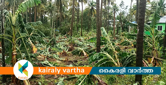 തൃശൂരിൽ വീശിയ മിന്നൽച്ചുഴലിയിൽ വ്യാപക നാശനഷ്ടം