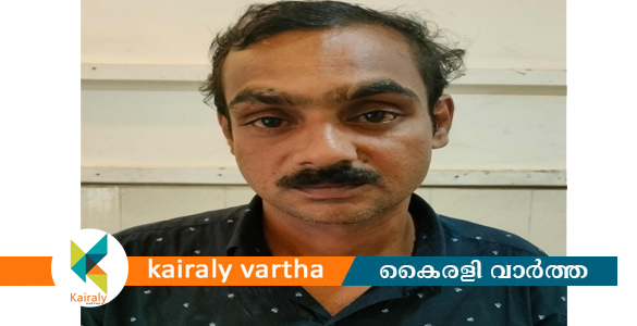 പാലായിൽ വീട്ടമ്മയെ ബലാത്സംഗം ചെയ്യാൻ ശ്രമിച്ചയാൾ പിടിയിൽ