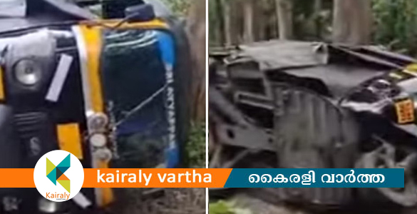 പാലക്കാട് കാട്ടുപന്നി ഓട്ടോയിടിലിച്ച് അപകടം: വനിതാ ഡ്രൈവർ മരിച്ചു