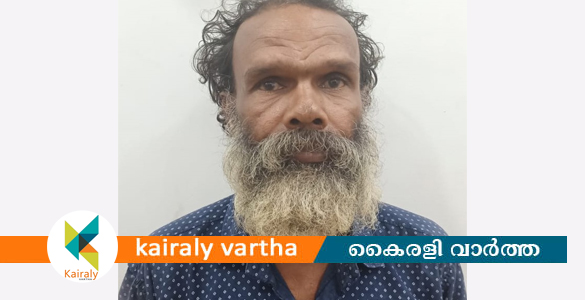 മോട്ടോർ മോഷണം: കറുകച്ചാൽ സ്വദേശിയായ മധ്യവയസ്കന്‍ അറസ്റ്റിൽ