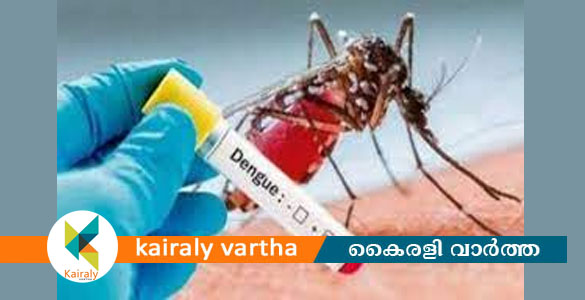 മുംബൈയിൽ ഡെങ്കിപ്പനി കേസുകളിൽ വർദ്ധനവ്; 15 ദിവസത്തിനുള്ളിൽ 264 കേസുകൾ