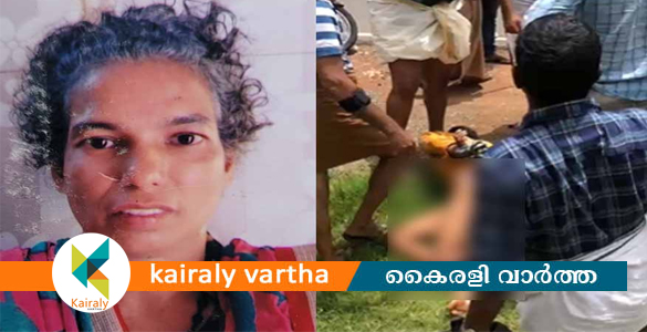 കൊല്ലത്ത് അമ്മയെ മകന്‍ നടുറോഡില്‍ കുത്തിക്കൊന്നു