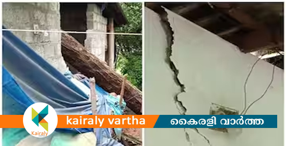 കനത്ത മഴ: പാലക്കാട് വീടിന് മുകളിലേക്ക് മരം വീണു; പിഞ്ചു കുഞ്ഞും അമ്മയും അത്ഭുതകരമായി രക്ഷപ്പെട്ടു