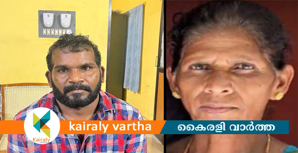 വയനാട് തോല്‍പ്പെട്ടിയില്‍ വയോധികയുടെ മരണം: കൊലപാതകം; മകളുടെ ഭര്‍ത്താവ് അറസ്റ്റില്‍