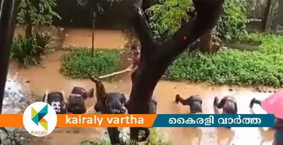 ചെളിയില്‍ തലകുത്തി നിര്‍ത്തി പുഷ്അപ്പ്; എന്‍സിസി  വിദ്യാർത്ഥികള്‍ക്ക് ക്രൂരമര്‍ദനം