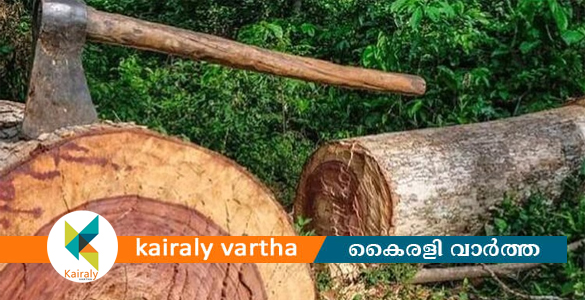 മുട്ടിൽ മരംമുറി; അന്വേഷണ സംഘത്തിൽ നിന്ന് മാറ്റണമെന്ന് താനൂർ ഡി.വൈ.എസ്.പി