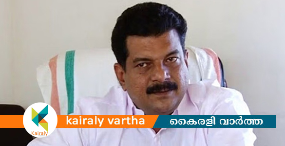 മിച്ചഭൂമി കേസ്; പി.വി. അൻവറിന് രേഖകൾ സമർപ്പിക്കാനുള്ള സമയം നീട്ടി ലാൻഡ് ബോർഡ്