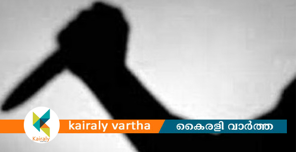 മൂന്നാറിൽ കായംകുളം സ്റ്റേഷനിലെ പൊലീസ് ഉദ്യോഗസ്ഥന് കുത്തേറ്റു; നാല്പേര്‍ പിടിയില്‍