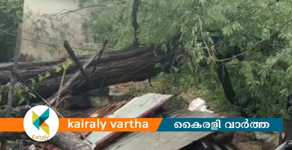 ആലപ്പുഴയില്‍ കാറ്റിലും മഴയിലും മരം വീണ് വീട് തകര്‍ന്നു