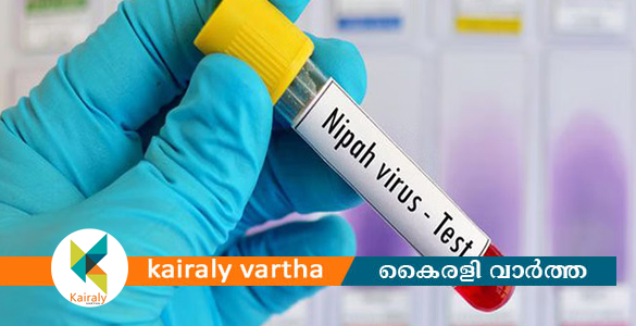 2 ആരോഗ്യ പ്രവർത്തകർക്ക് നിപയെന്ന് സംശയം; സാംപിളുകൾ പരിശോധനയ്ക്ക് അയച്ചു