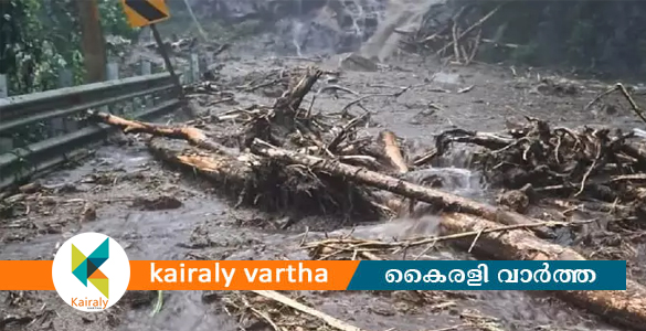 പാലക്കാട് പാലക്കയത്ത് ഉരുൾപൊട്ടൽ; ജാഗ്രത നിർദേശം