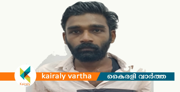 കാപ്പനിയമം ലംഘിച്ച അതിരമ്പുഴ സ്വദേശി യുവാവ് ഏറ്റുമാനൂരില്‍ അറസ്റ്റിൽ