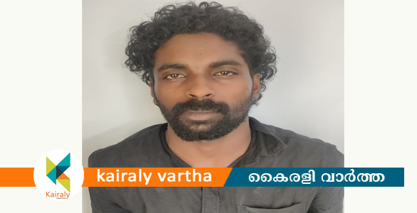 കാപ്പ ചുമത്തി ചങ്ങനാശ്ശേരി സ്വദേശി യുവാവിനെ കോട്ടയം ജില്ലയിൽ നിന്നും പുറത്താക്കി