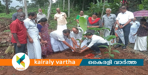 തരിശുഭൂമിയിൽ കൃഷിയിറക്കി എലിക്കുളം നാട്ടുചന്തപ്രവർത്തകർ