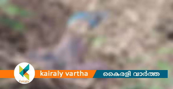 ആറന്മുളയിൽ രണ്ടാഴ്ച പഴകിയ മൃതദേഹം; കാണാതായ യുവാവിന്‍റേതെന്ന് സംശയം