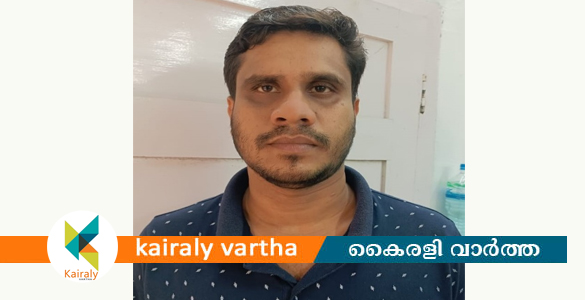 പ്രായപൂർത്തിയാകാത്ത പെൺകുട്ടിയെ ശല്യപ്പെടുത്തിയ യുവാവ് അറസ്റ്റിൽ