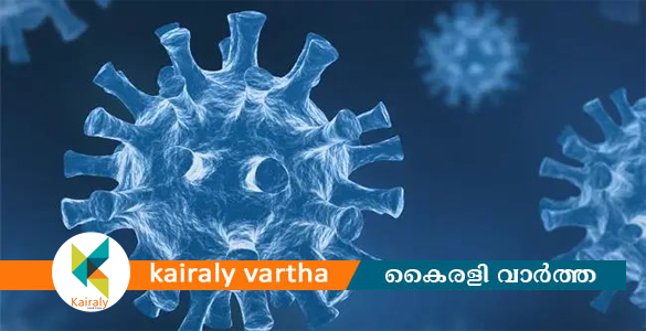 എട്ട് വൈറസുകളെ കൂടി കണ്ടെത്തിയെന്ന് ചൈന; കൊറോണ വകഭേദവും പട്ടികയില്‍