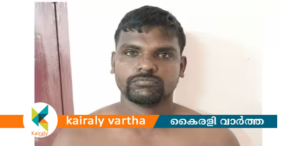 ഭാര്യയെ ഉപദ്രവിക്കുന്നത് വിലക്കി; ഉറങ്ങിക്കിടന്ന ബന്ധുവിനെ കൊന്ന പ്രതി അറസ്റ്റില്‍