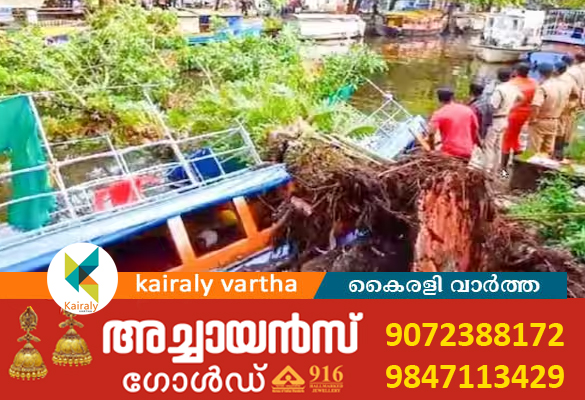 ആലപ്പുഴയിൽ മരം വീണ് സ്വകാര്യ ബോട്ട് പൂർണമായി തകർന്നു; ഒഴിവായത് വന്‍ദുരന്തം