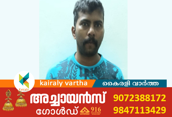 പെൺകുട്ടിയെ ബലാത്സംഗം ചെയ്യാന്‍ ശ്രമിച്ച പാമ്പാടി സ്വദേശി യുവാവ് അറസ്റ്റിൽ