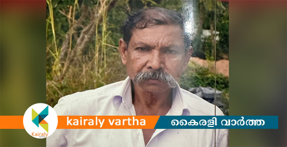 വയനാട്ടില്‍ വീടിന് സമീപമുള്ള കടയിലേക്ക് പോയ 75കാരനെ കാണാതായി