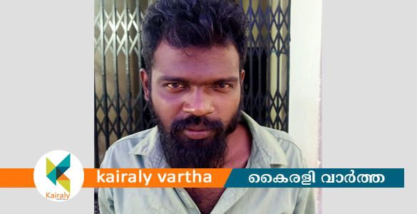 കാപ്പ നിയമം ലംഘിച്ച അതിരമ്പുഴ സ്വദേശി ഗുണ്ട കടുത്തുരുത്തിയില്‍ അറസ്റ്റില്‍