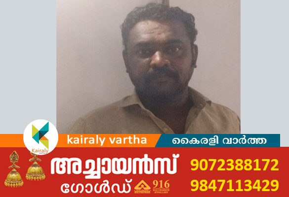 ചിങ്ങവനത്ത് വീട് കയറി അതിക്രമം: കുറിച്ചി സ്വദേശി യുവാവ് അറസ്റ്റിൽ