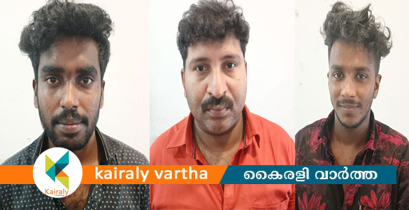 യുവാവിനെ കൊലപ്പെടുത്താൻ ശ്രമം: കാഞ്ഞിരപ്പള്ളിയില്‍ 3 പേർ അറസ്റ്റിൽ