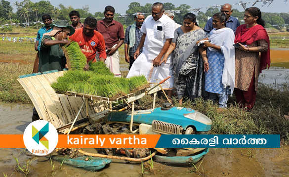 നഷ്ടപ്പെട്ട കാർഷിക സമൃദ്ധി വീണ്ടെടുക്കാനൊരുങ്ങി തെള്ളകം പുഞ്ചപാടശേഖരത്തെ കർഷകർ