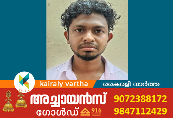 വീട്ടിൽ അതിക്രമിച്ചു കയറി  പെൺകുട്ടിയെ പീഡിപ്പിച്ച കേസിൽ യുവാവ് അറസ്റ്റിൽ
