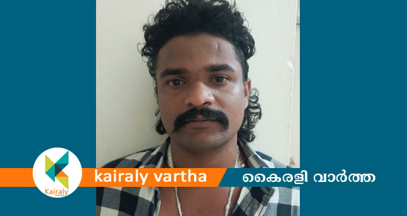 നിരന്തര കുറ്റവാളിയെ കാപ്പാ ചുമത്തി കരുതല്‍ തടങ്കലിലടച്ചു