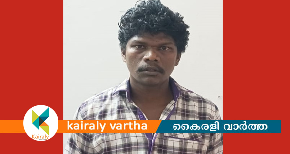 അയർക്കുന്നത്ത് ഏഴ് വയസ്സുകാരിയെ പീഡിപ്പിച്ച കേസിൽ യുവാവ് അറസ്റ്റിൽ