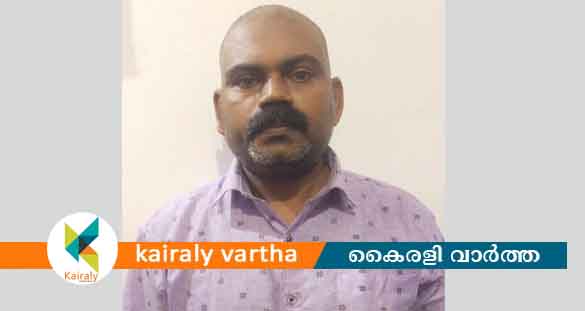 എരുമേലിയില്‍ യുവാവിനെ കുത്തിക്കൊലപ്പെടുത്താൻ ശ്രമം; ഒരാൾ അറസ്റ്റിൽ