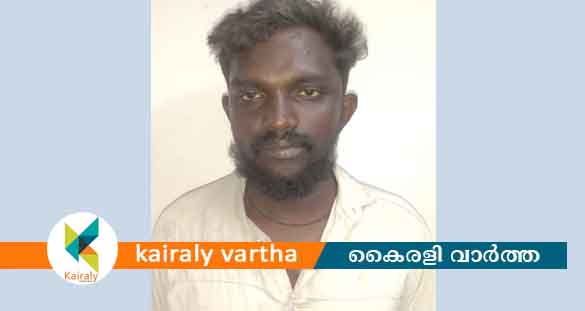 പുതുപ്പള്ളിയില്‍ വീട്ടമ്മയെ ആക്രമിച്ച കേസിൽ യുവാവ് അറസ്റ്റിൽ
