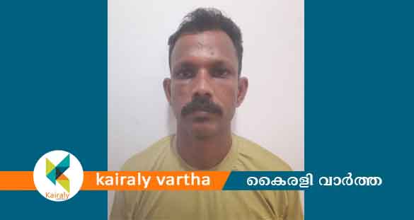 മുണ്ടക്കയത്ത് യുവാവിനെ  കൊലപ്പെടുത്താൻ ശ്രമം: യുവാവ് അറസ്റ്റിൽ